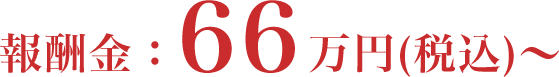 報酬金:66万円(税込)~
