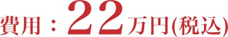 費用:22万円(税込)